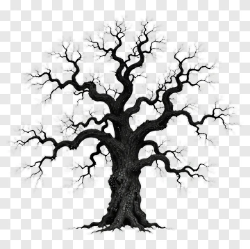 Black Tree With Bare Branches PNG