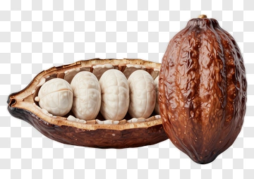 Cocoa Pod With Cocoa Beans PNG