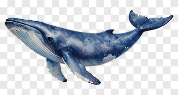 Watercolor Blue Whale PNG