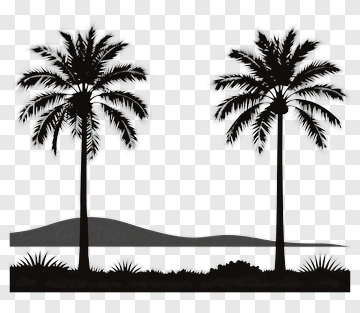 Silhouette Of Palm Trees Against A Landscape PNG