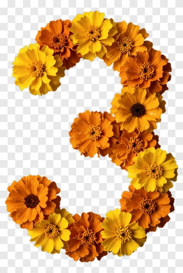 Floral Number Three Made Of Yellow And Orange Flowers PNG