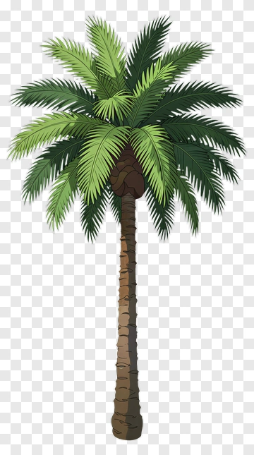 Colorful Palm Tree PNG