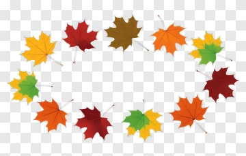 Colorful Autumn Leaves Arrangement PNG