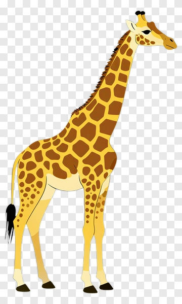 Cartoon Giraffe PNG