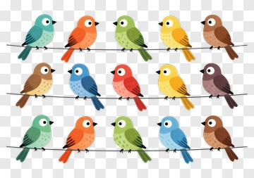 Colorful Birds On A Wire PNG