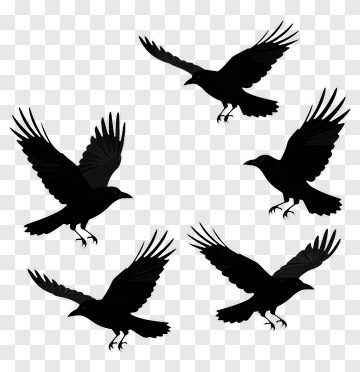 Silhouette Birds In Flight PNG
