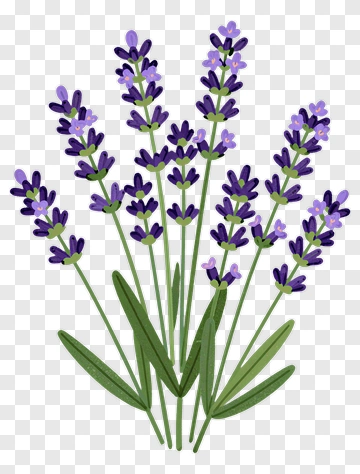 Lavender Flower Bouquet PNG