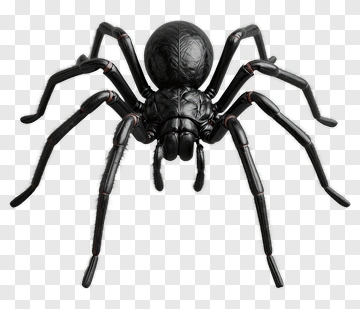 3D Black Spider PNG