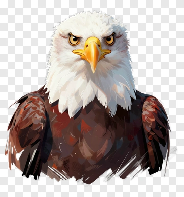 Cartoon Bald Eagle PNG