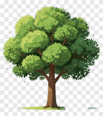 Colorful Tree PNG