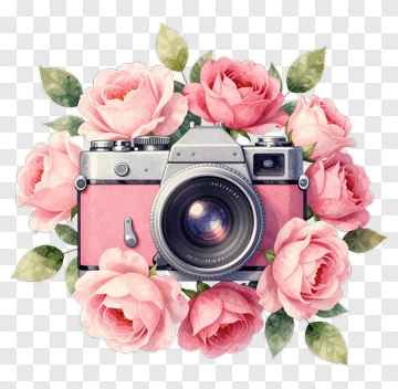 Vintage Camera Surrounded By Pink Roses PNG