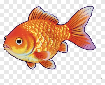 Colorful Goldfish PNG