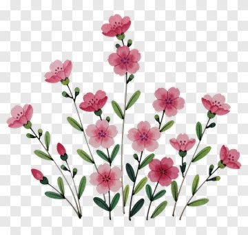 Watercolor Pink Flower Bouquet PNG