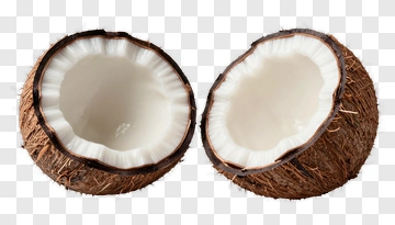 Coconut Half With White Flesh PNG