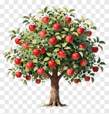 Apple Tree With Red Apples PNG