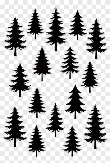 Silhouette Pine Trees PNG