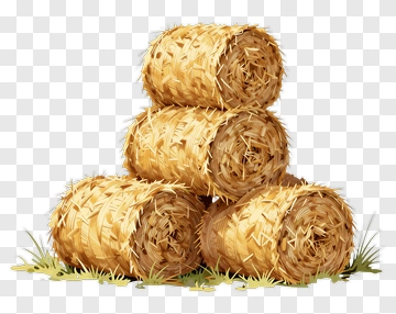 Bales Of Hay Stacked On Grass PNG