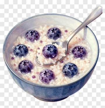 Bowl Of Oatmeal With Blueberries PNG