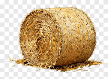 Hay Bale PNG