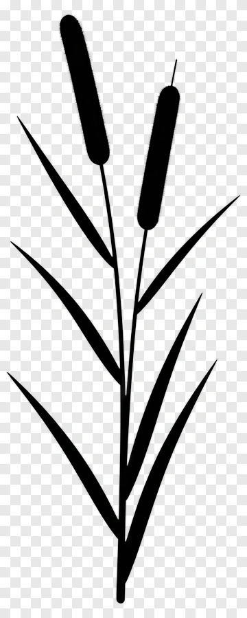 Black Cattail Plant PNG
