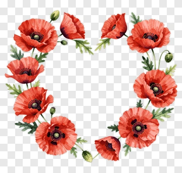 Watercolor Poppy Flower Wreath PNG