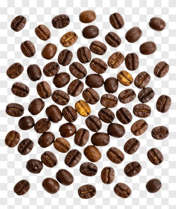 Coffee Beans Collection PNG