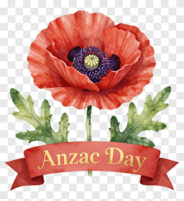 Red Poppy Flower With Anzac Day Banner PNG