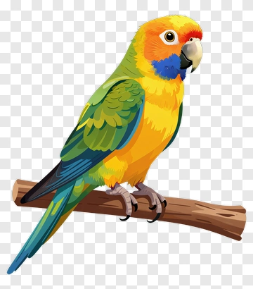 Colorful Parrot Sitting On A Branch PNG