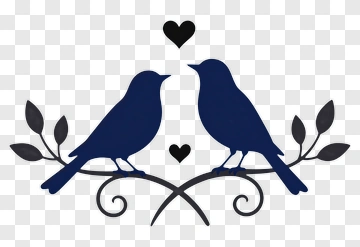 Birds On A Branch With Heart PNG