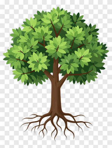 Colorful Tree PNG