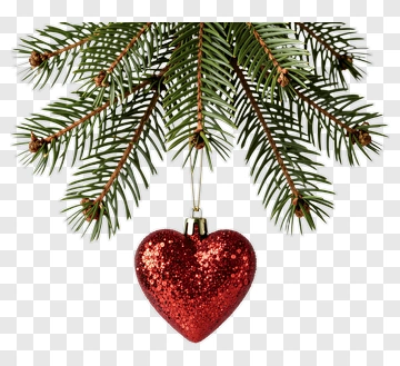 Red Heart Ornament Hanging From Pine Branch PNG