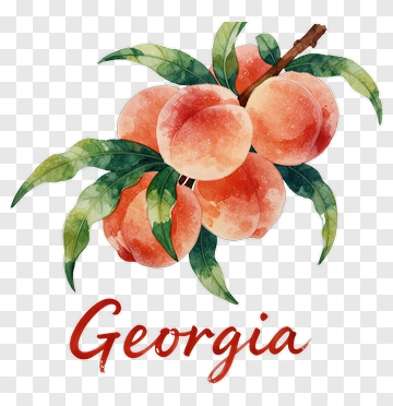 Watercolor Peaches With Georgia Text PNG