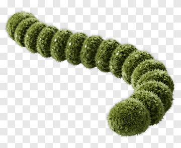 Green Caterpillar Made Of Grass PNG