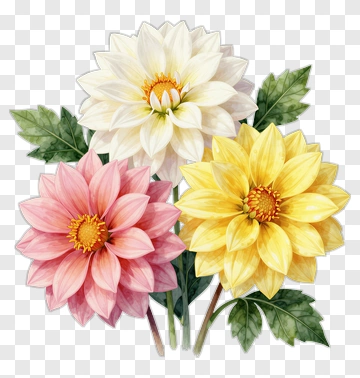 Colorful Flower Bouquet PNG