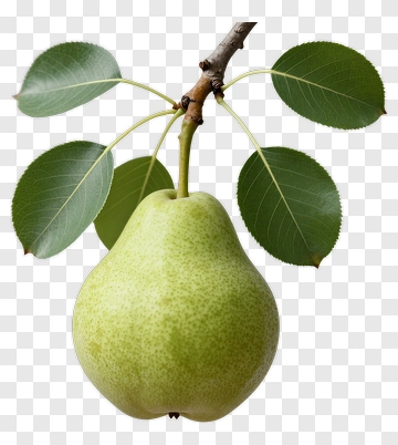 Green Pear With Leaves PNG