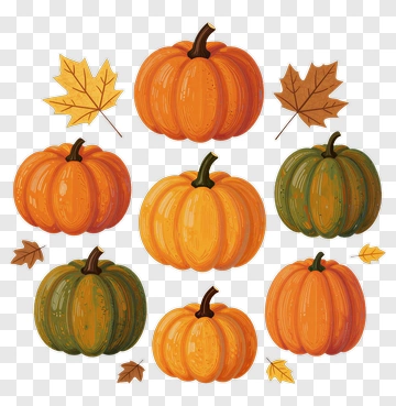 Colorful Pumpkin Collection With Leaves PNG