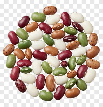 Colorful Assortment Of Beans PNG