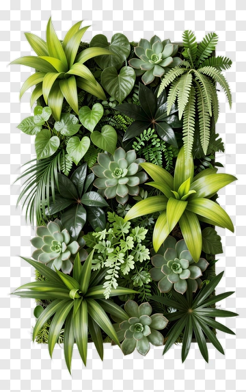 Greenery Wall Of Various Plants PNG