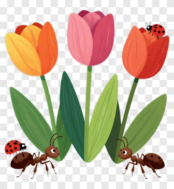 Colorful Tulips With Ladybugs And Ants PNG