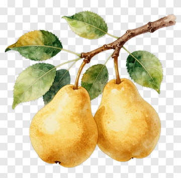 Watercolor Pears With Leaves PNG