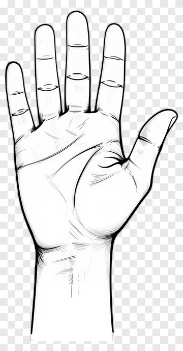 Hand Gesture Illustration PNG