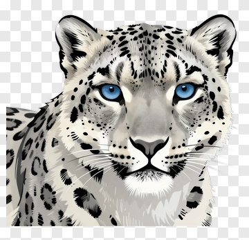 Snow Leopard With Blue Eyes PNG
