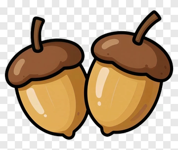 Cartoon Acorns PNG
