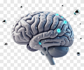 3D Brain With Neural Connections PNG