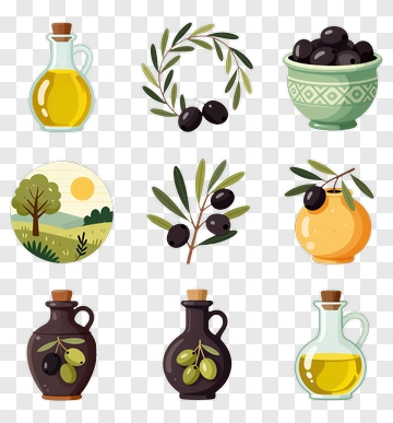 Collection Of Olive Oil And Olive Illustrations PNG