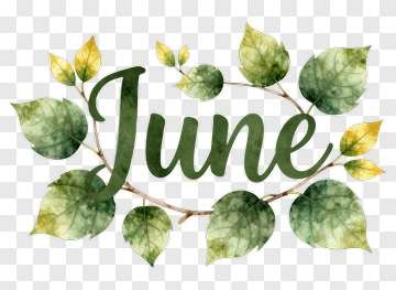 June With Green Leaves PNG