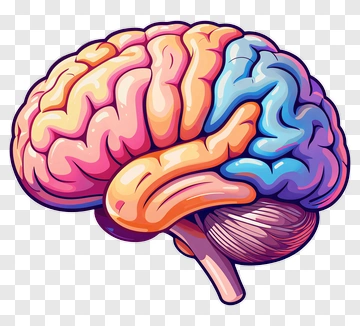 Colorful Cartoon Brain PNG