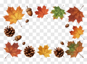Autumn Leaves And Pine Cones Frame PNG