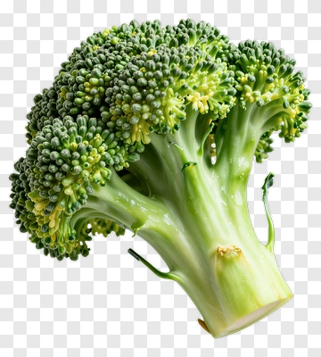 Fresh Broccoli PNG