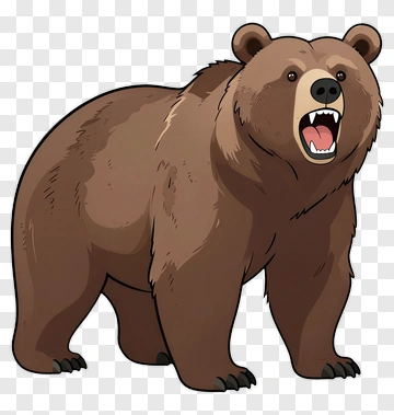 Cartoon Bear PNG